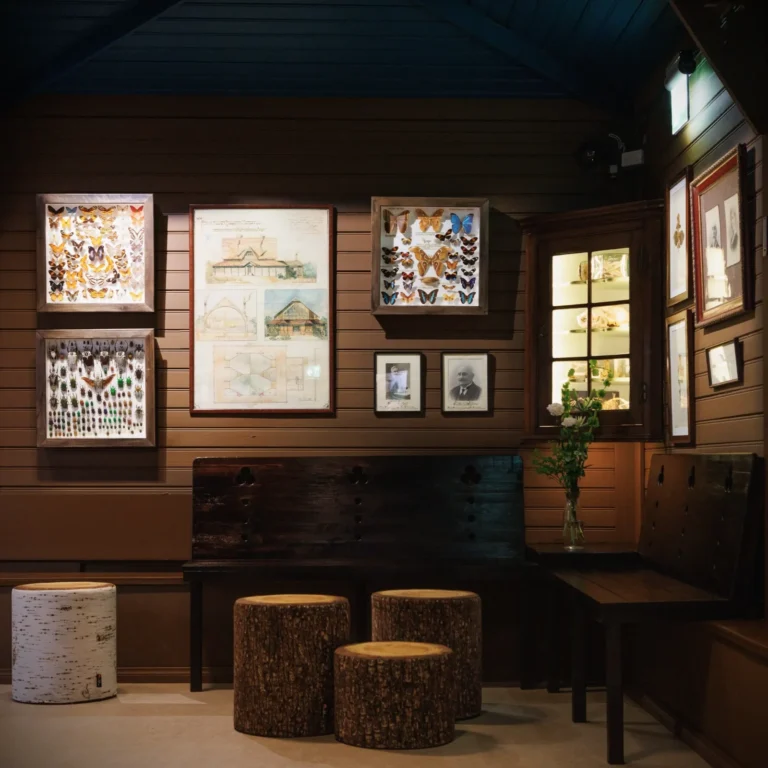 Turun Biologinen Museo Sisatilat 02 1je6
