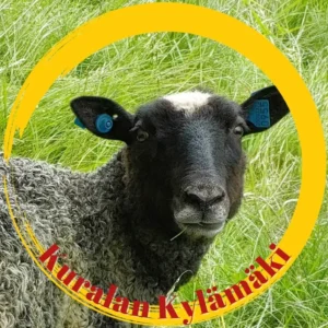 Kuralan Kylamaki Logo 01 G55o
