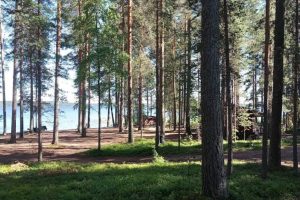 Sumiainen-Camping.jpg
